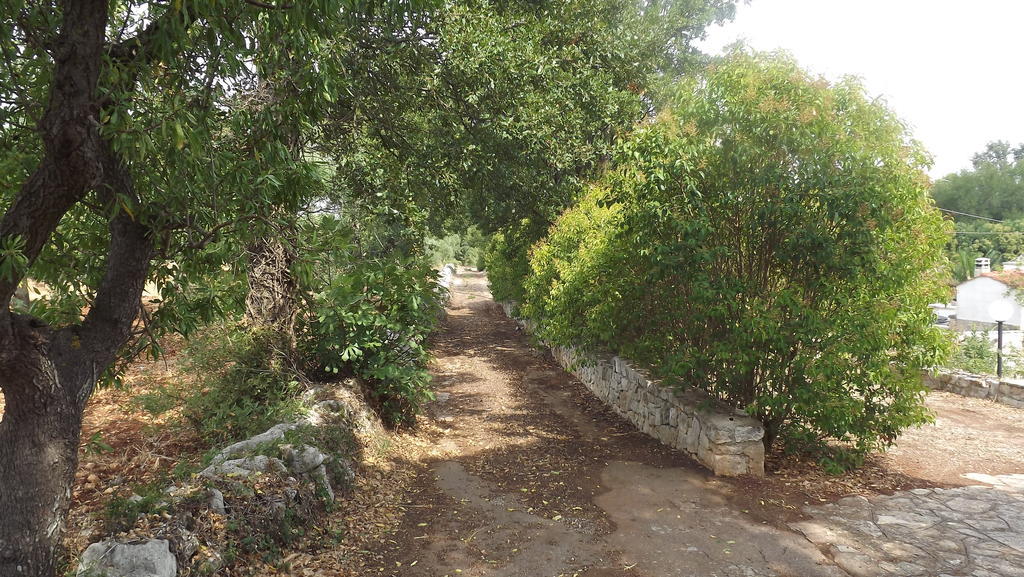 Villa Apollonia B&B Monopoli Exterior foto